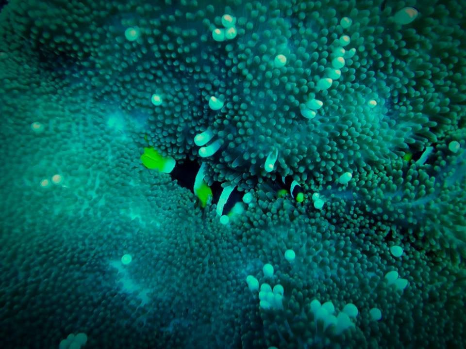 Andaman Discover Private Limited景点图片