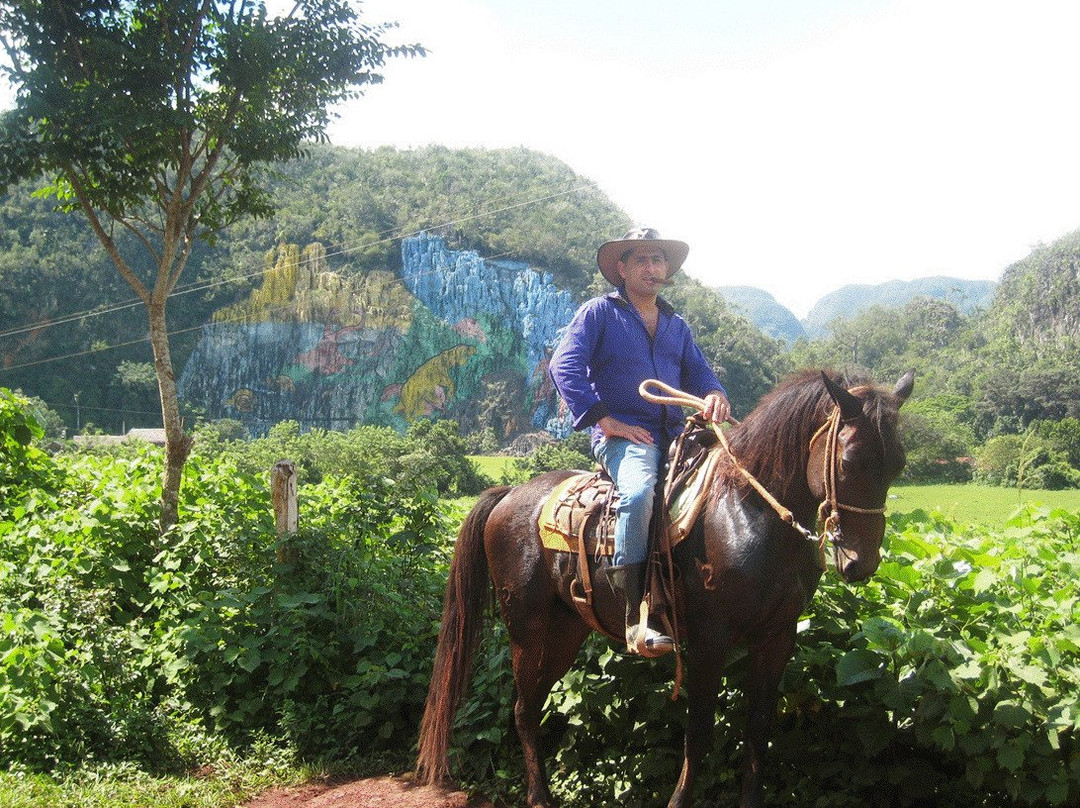 Excursion a Caballo en Viñales景点图片