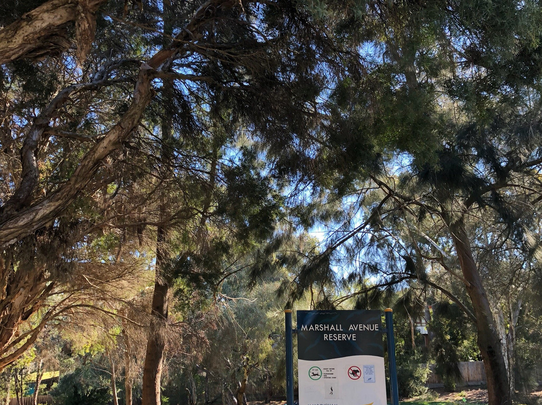 Marshall Reserve-唐克斯特必去景点