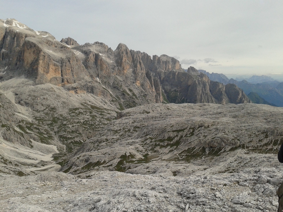 Altopiano delle Pale di San Martino景点图片