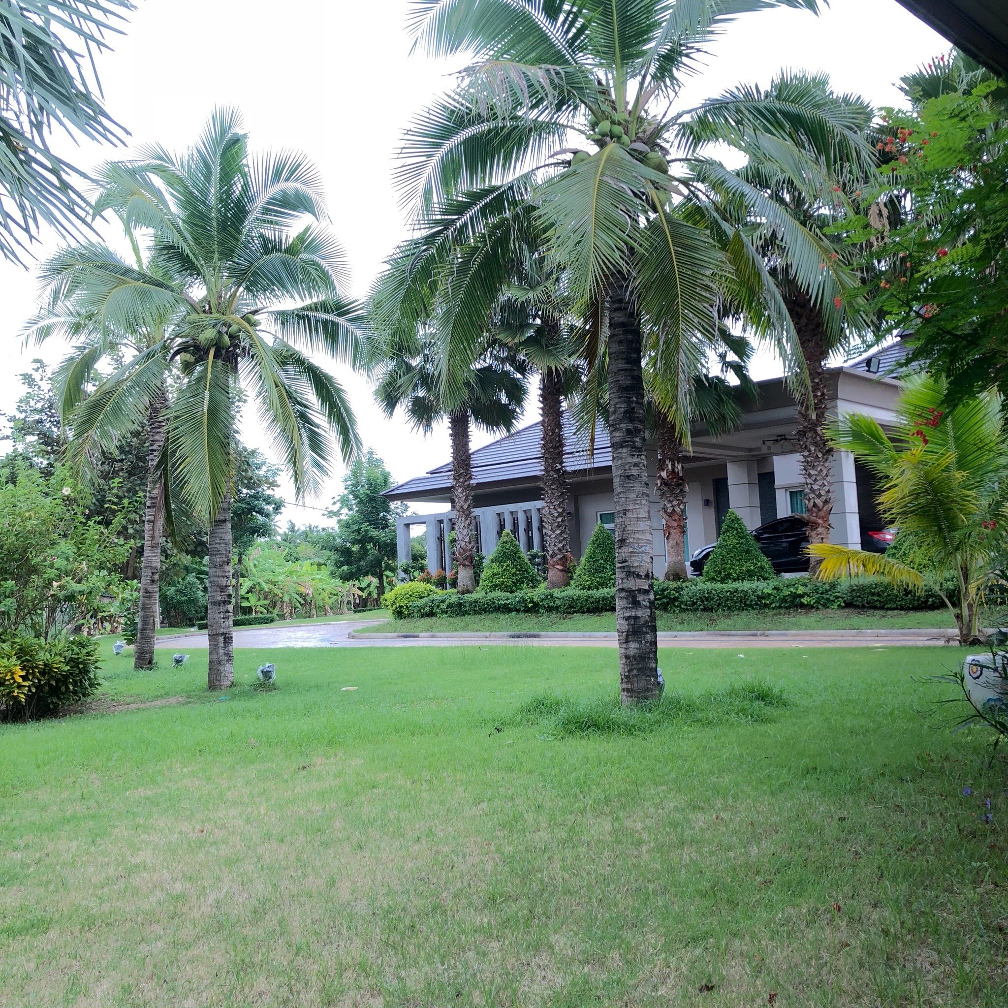Dream Garden Resort-官方