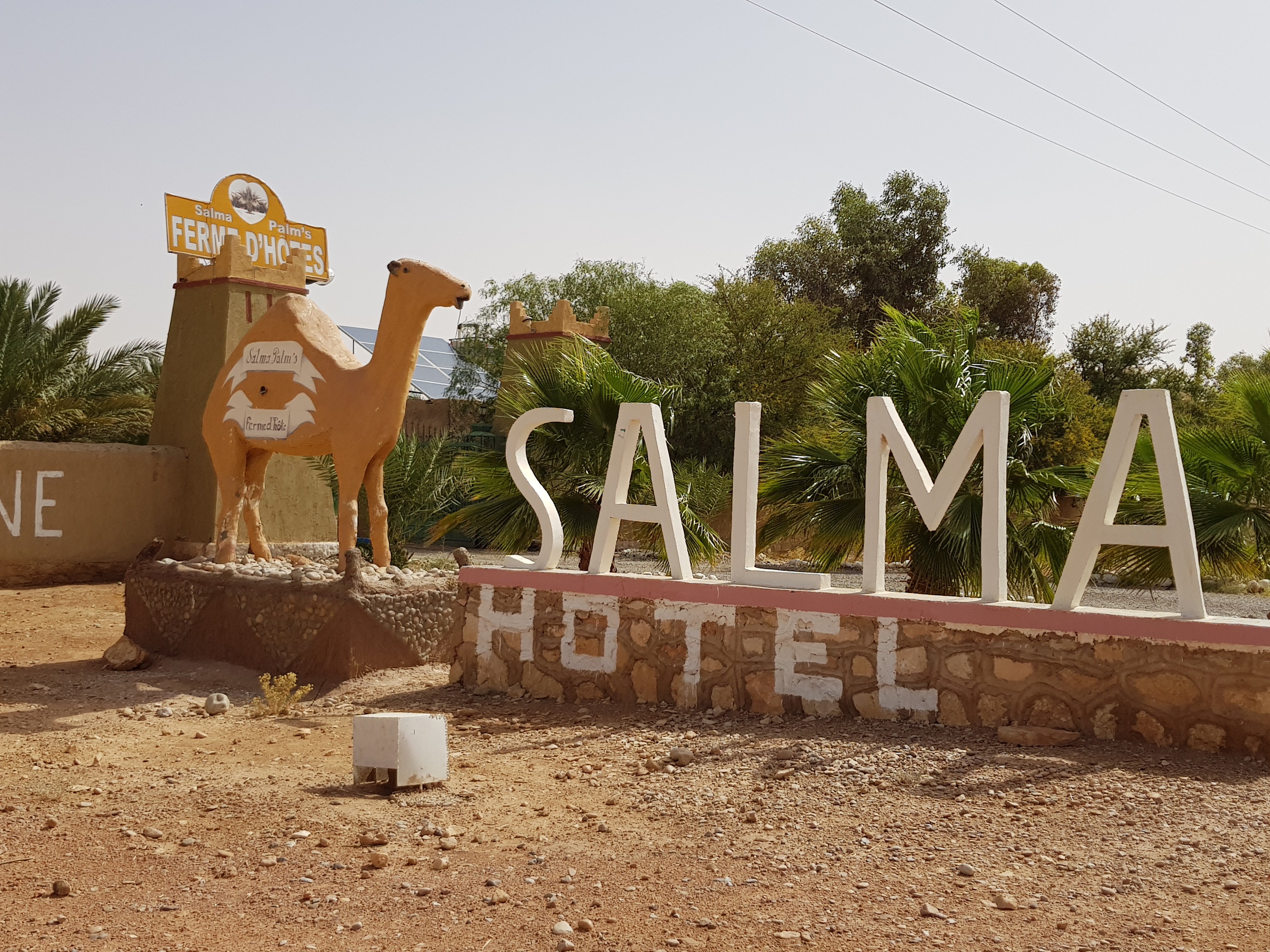 Salma Palm's Hôtel-浴室