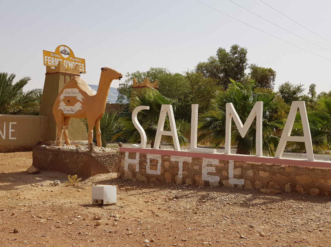 Salma Palms Hôtel主图