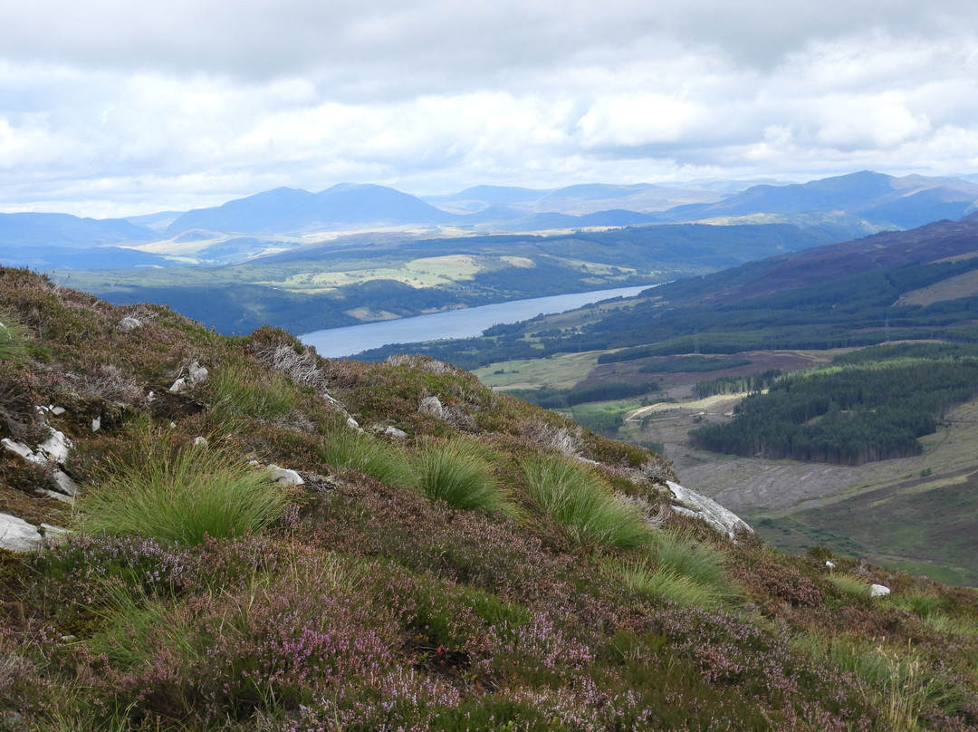 Schiehallion景点图片