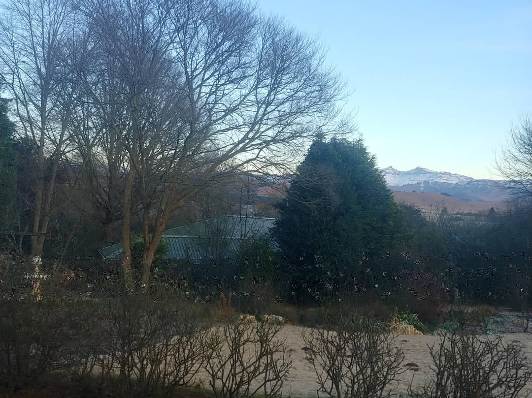 Yellowwood Cottage主图