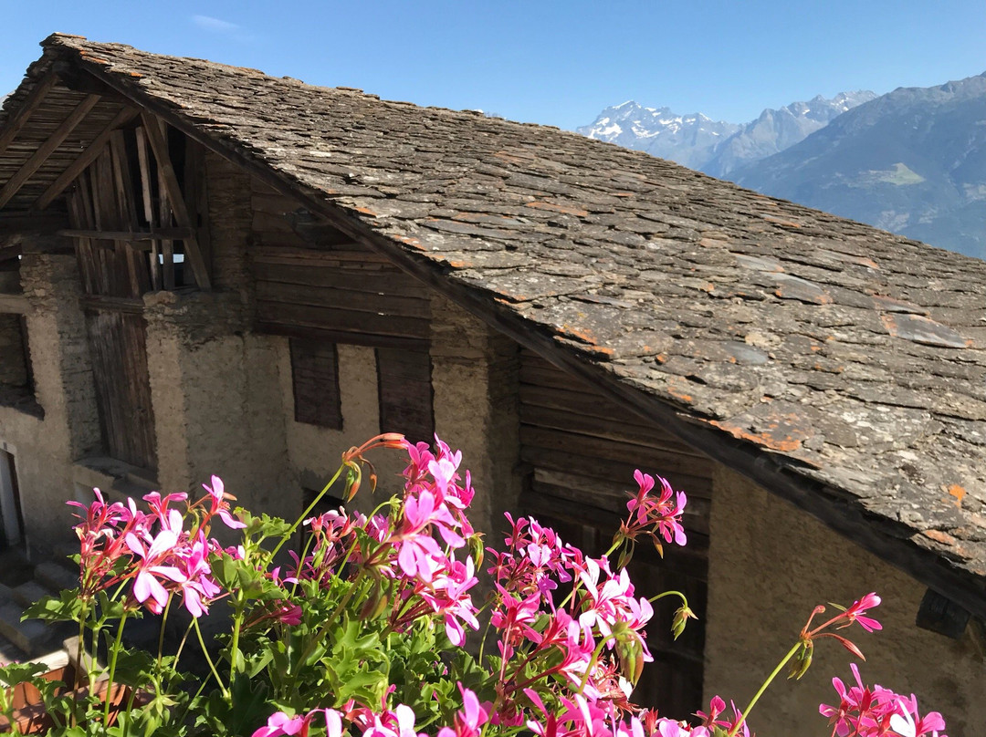 Chambres D'Hotes Les Fleurs主图