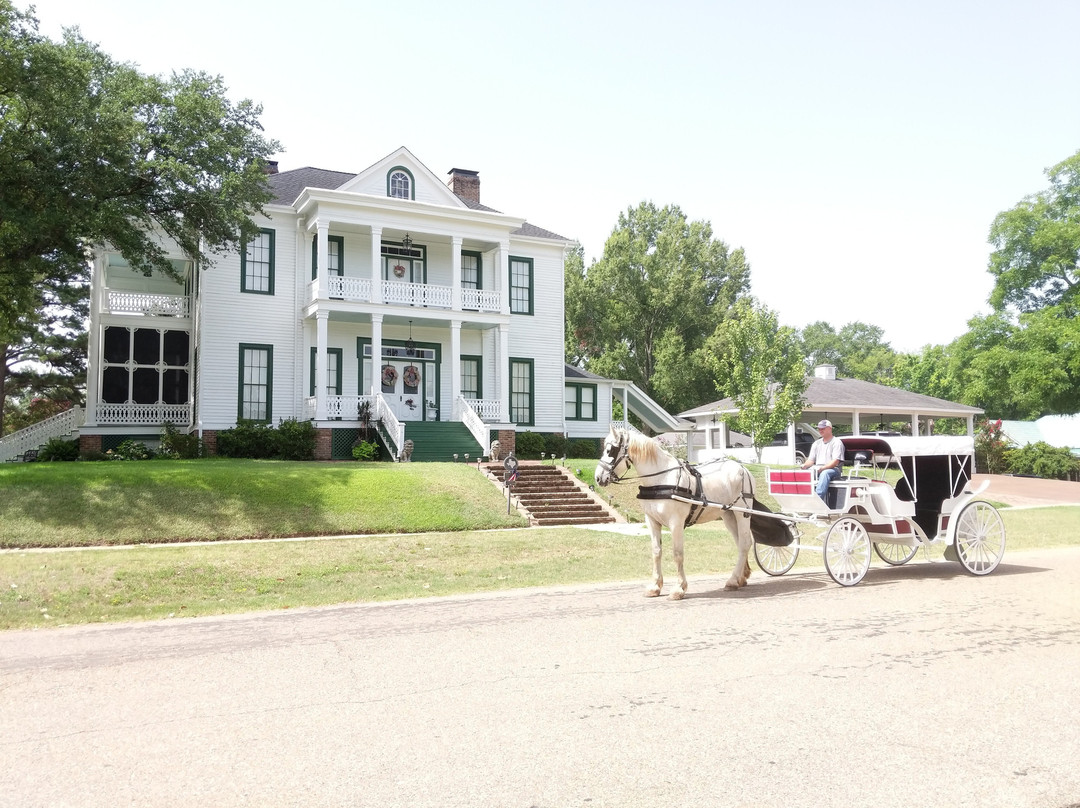 The Lone Star Carriage Company Of Jefferson Texas景点图片