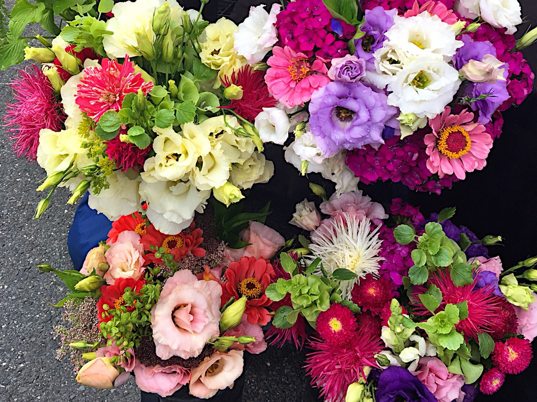 Amherst Farmers' Market - Late April to Mid-November-艾姆赫斯特必去景点