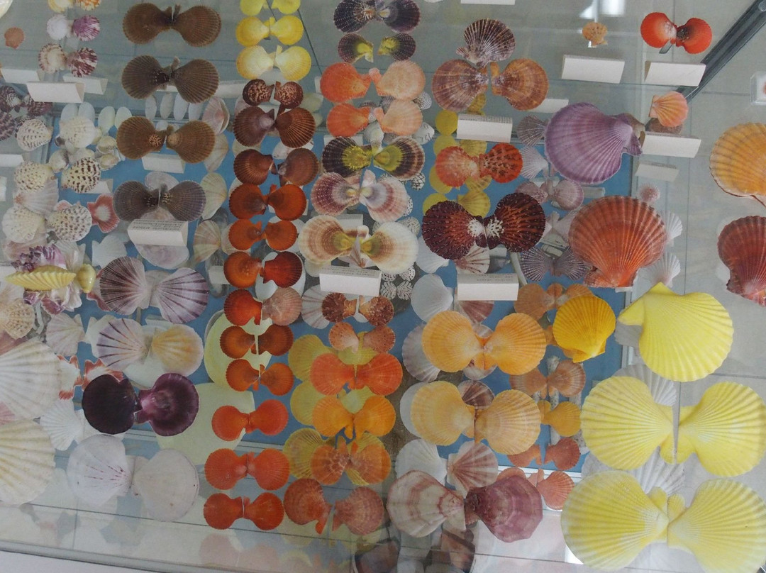 Corfu Shell Museum-科孚必去景点