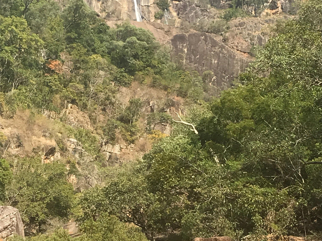 Jourama Falls景点图片