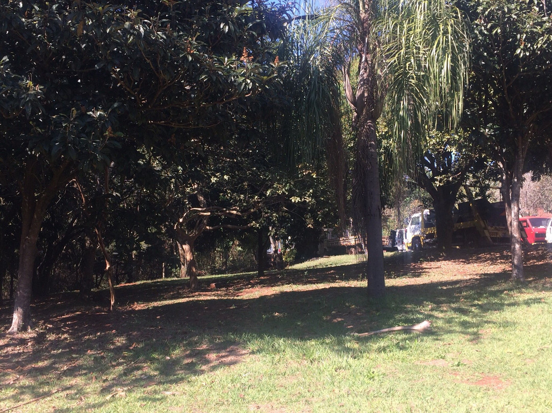 Parque Arthur Thomas-Londrina必去景点