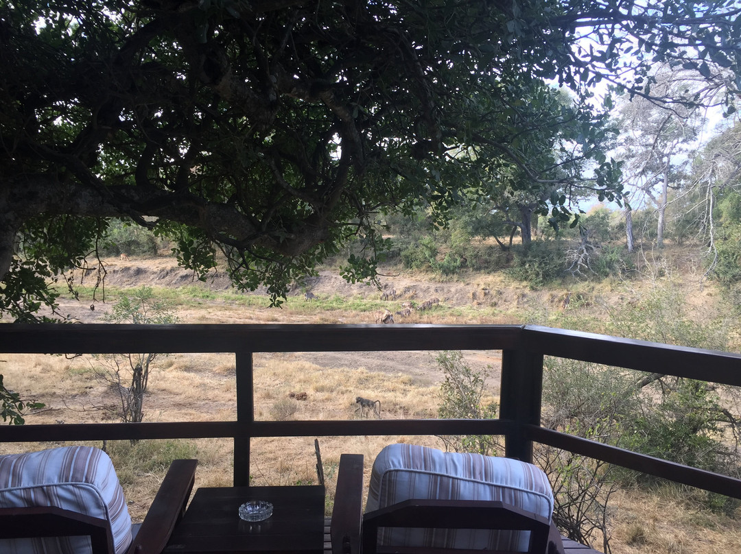 Hamiltons Tented Camp主图