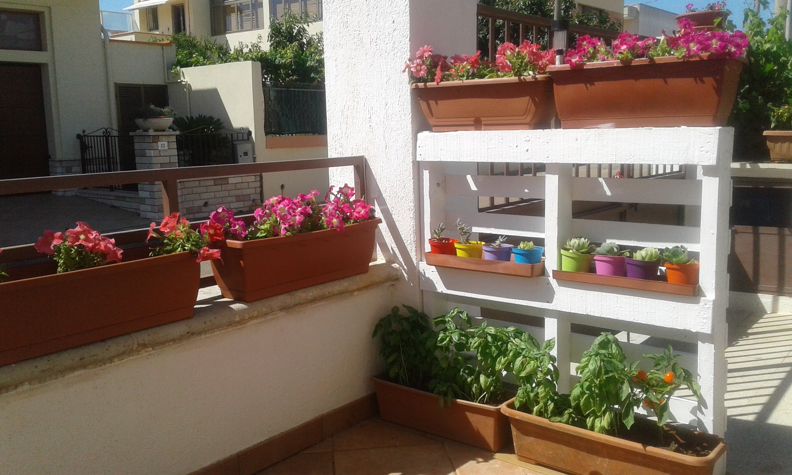 Salentum-酒店景观