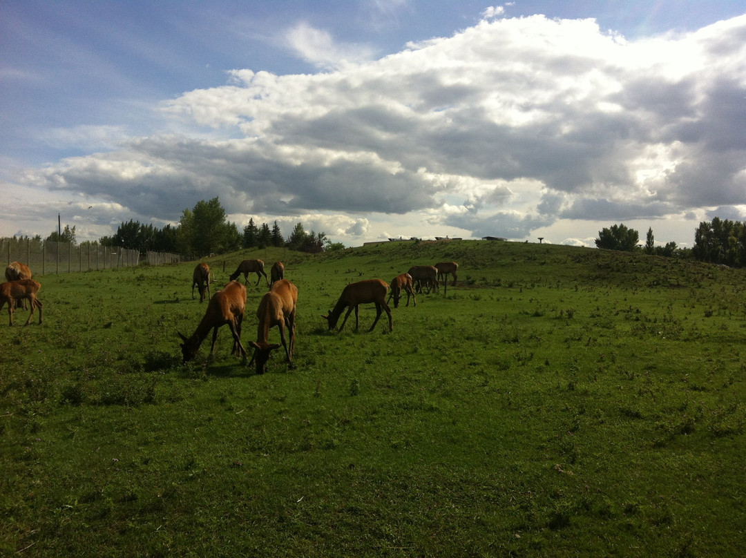 EVRAZ Family Park and Pool景点图片