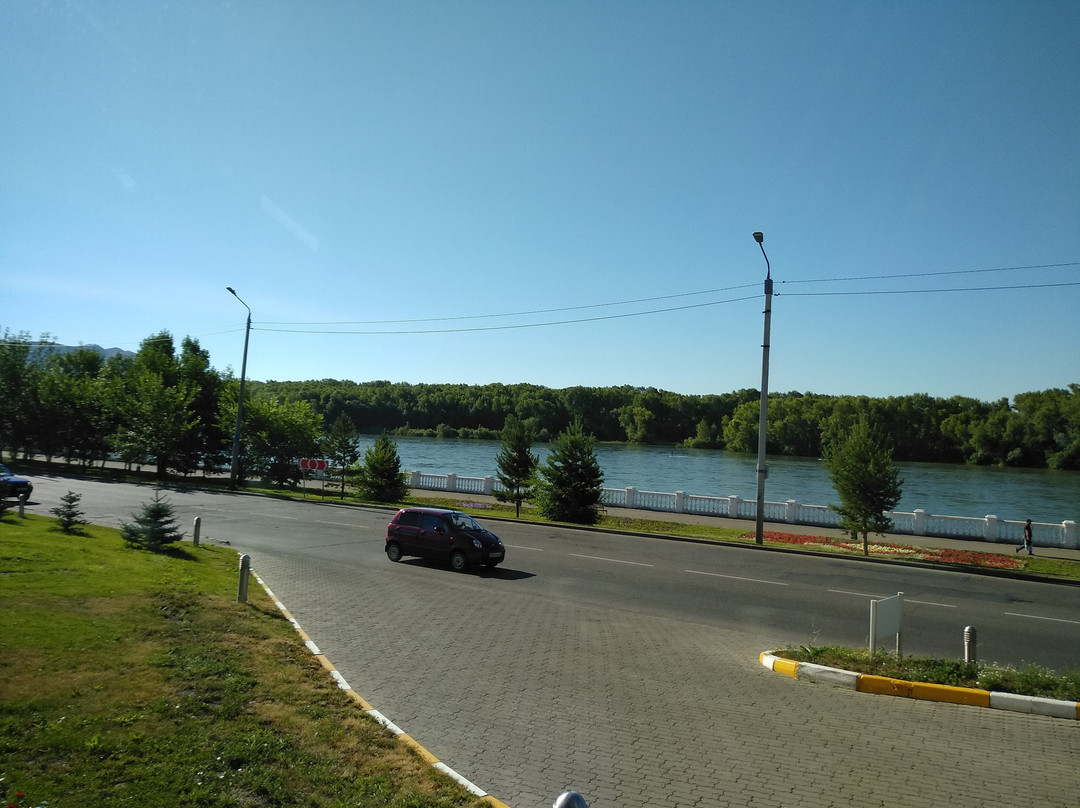 Dedeman Oskemen Tavros Hotel主图