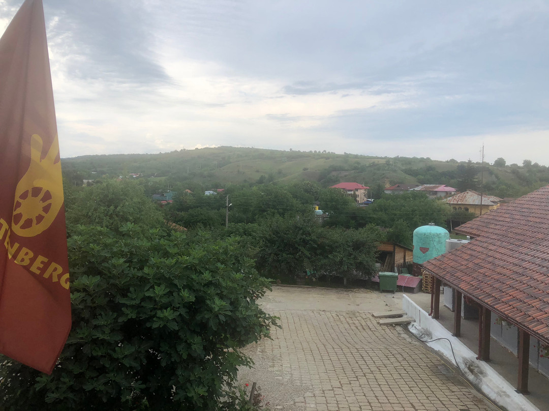 Rotenberg Winery景点图片