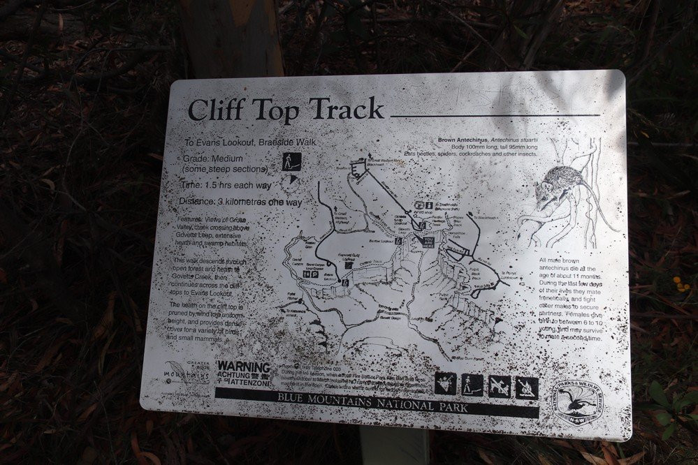 Cliff Top Walking Track景点图片