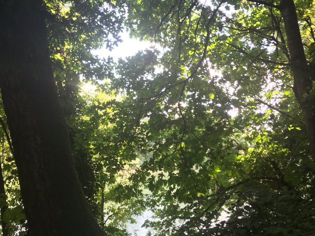 Memorial Park-威尔逊维尔必去景点