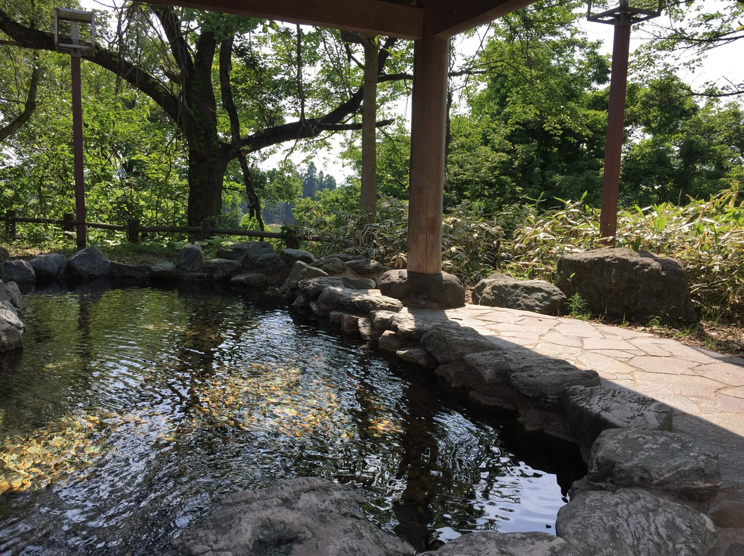 Hotel Tetora Resort Akita Yokote Onsen主图