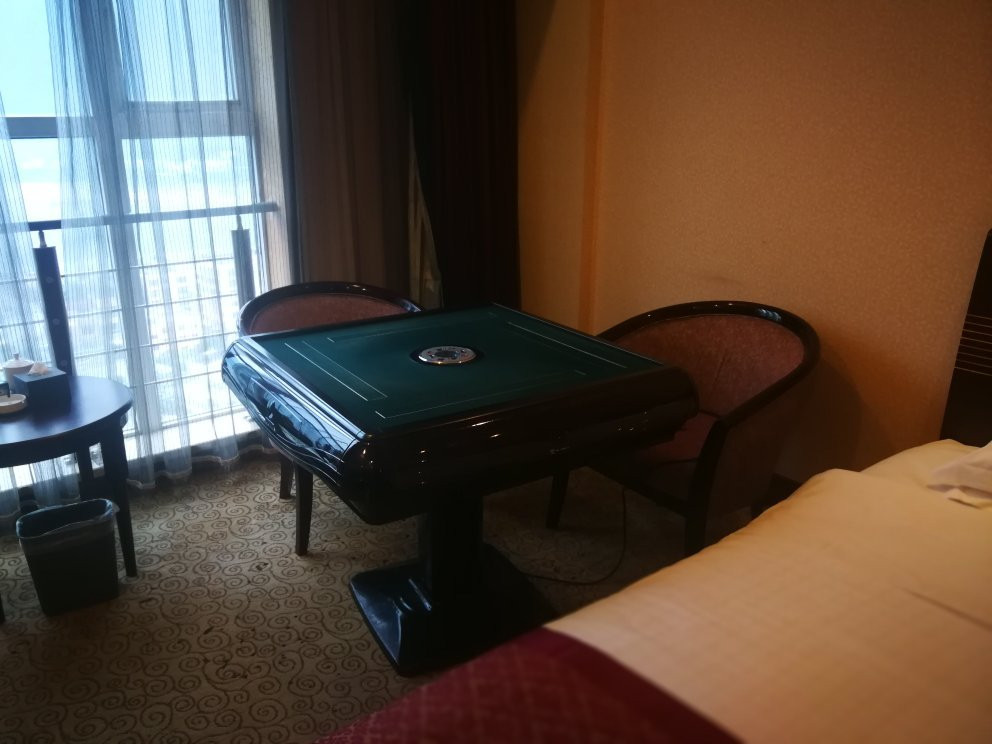 鸿都大酒店主图