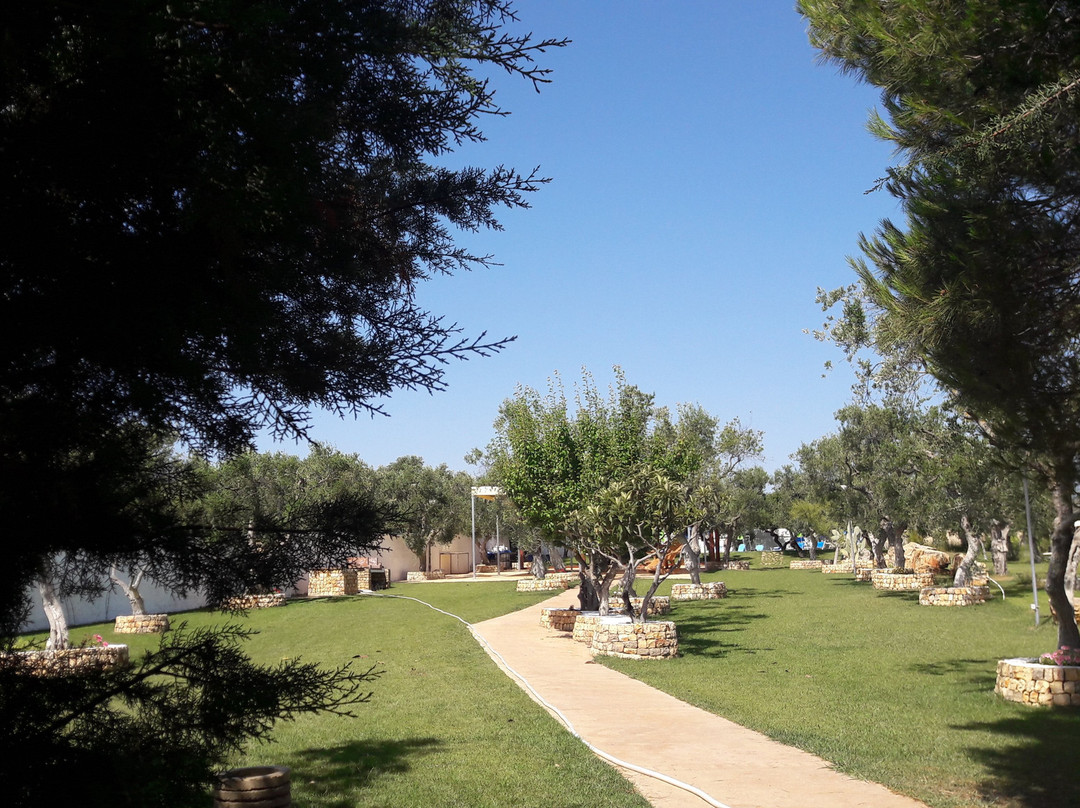 皮罗塔别墅酒店主图