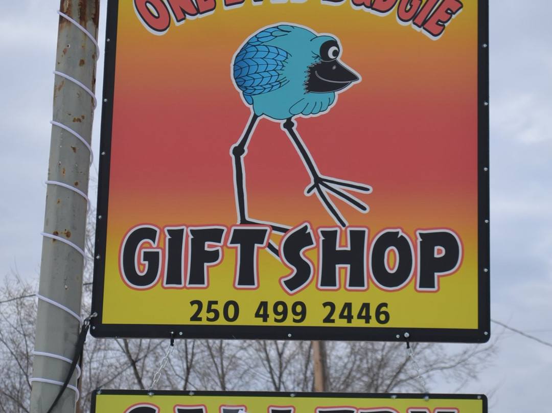 The One Eyed Budgie Gift Shop景点图片