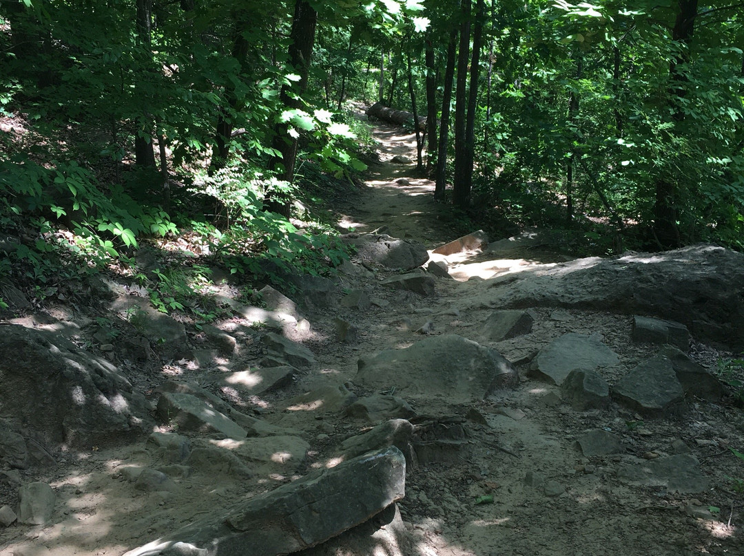 Turkey Mountain Urban Wilderness Area-塔尔萨必去景点