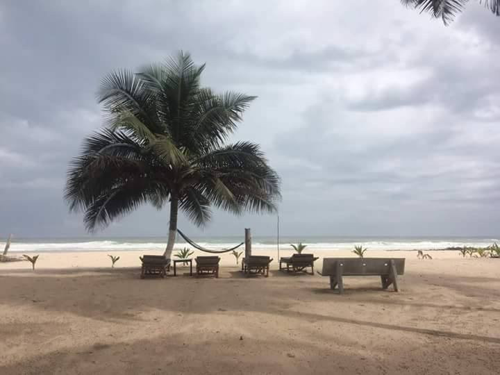 Bethel Evasion主图