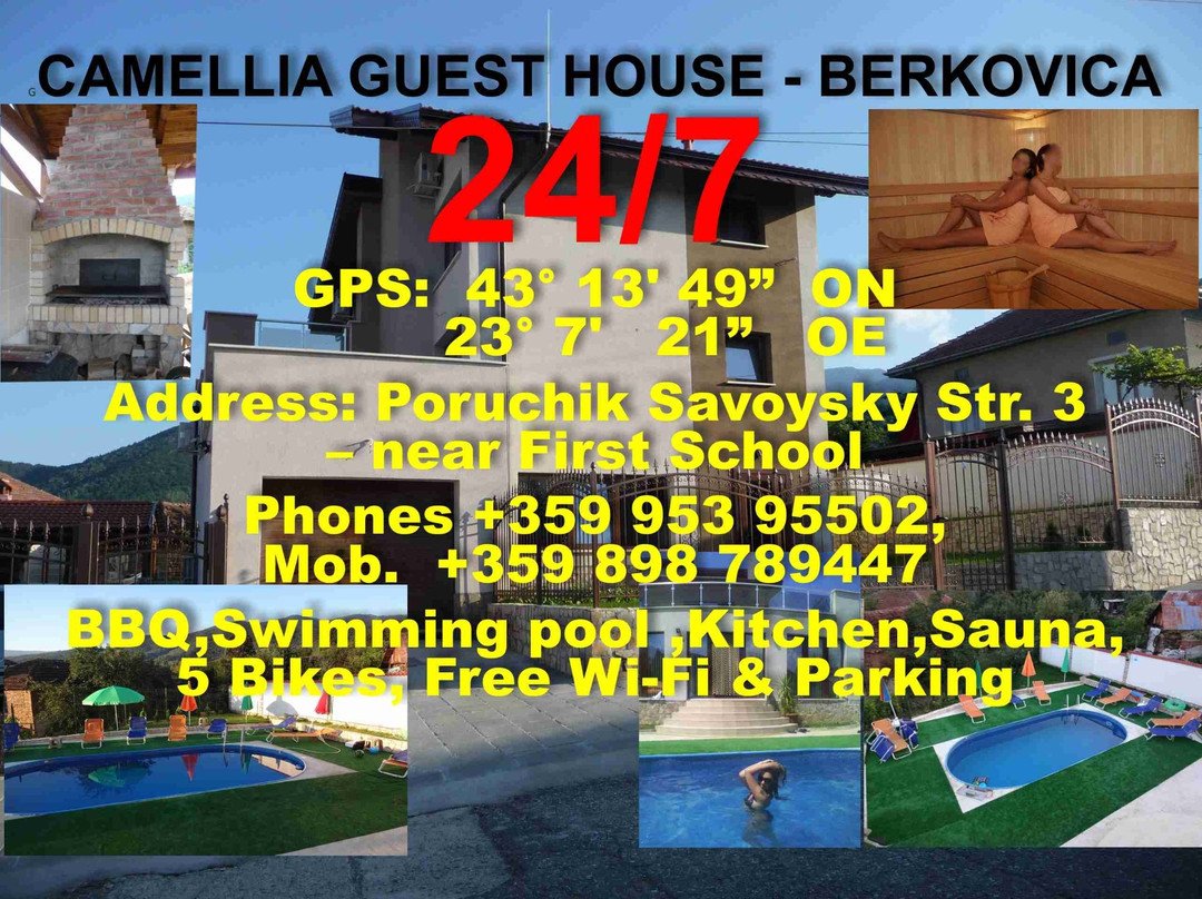 Family Hotel Camellia主图