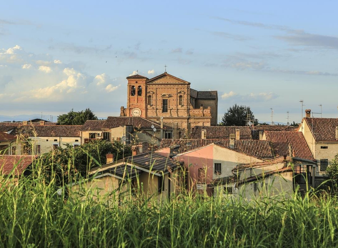 B&B Le Tortore主图