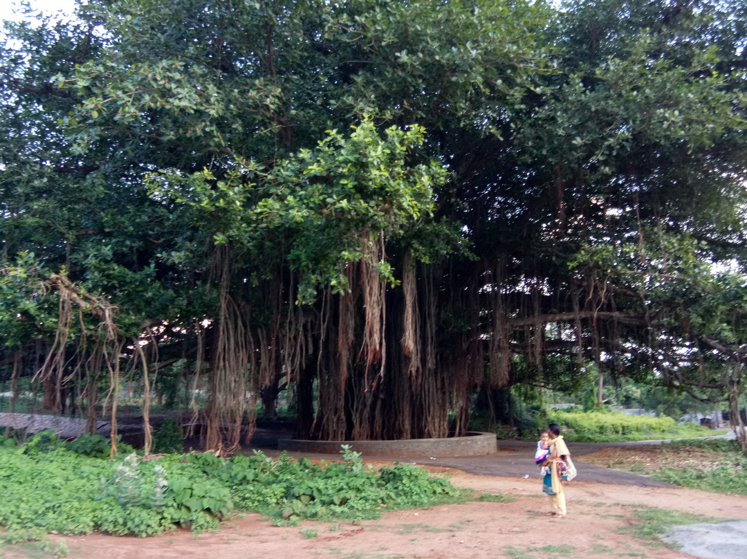 Walayar Dam-Palakkad必去景点