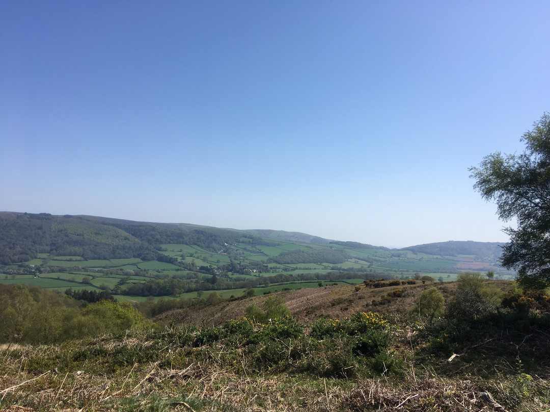 Exmoor Safari景点图片