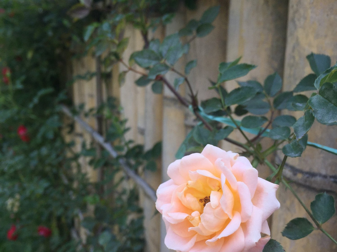 浙江千峡湖智选假日酒店主图