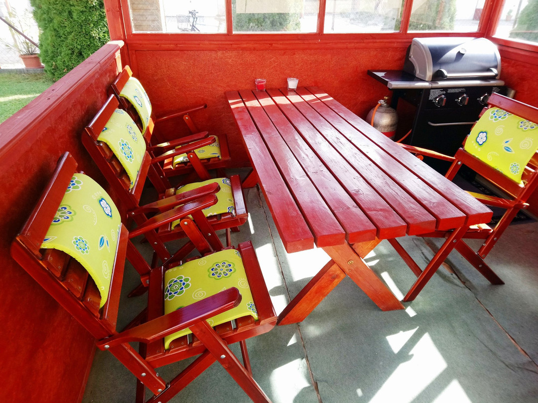 Erika Vendeghaz主图