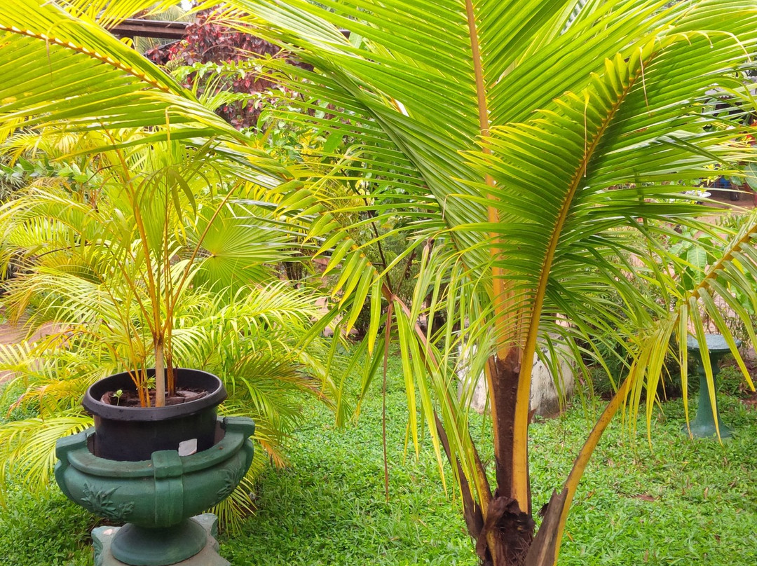 Dad's Holiday Home主图