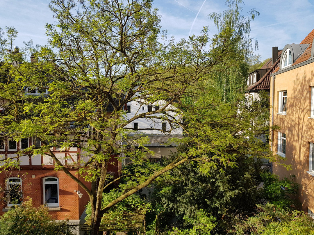 施勒公园酒店主图