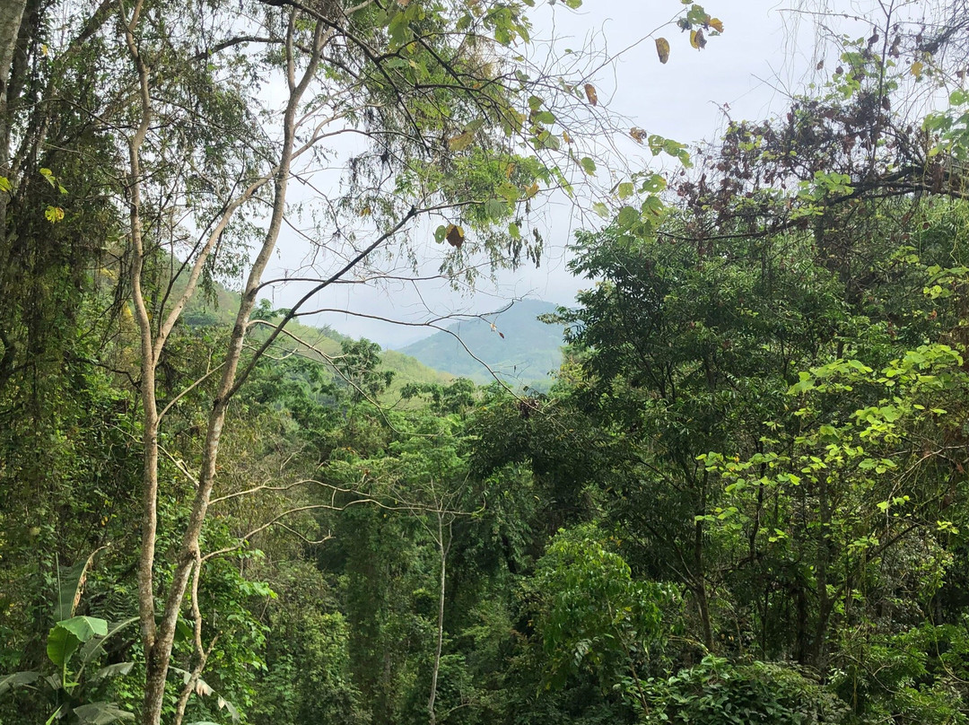 Tad Thong Waterfall-琅勃拉邦必去景点