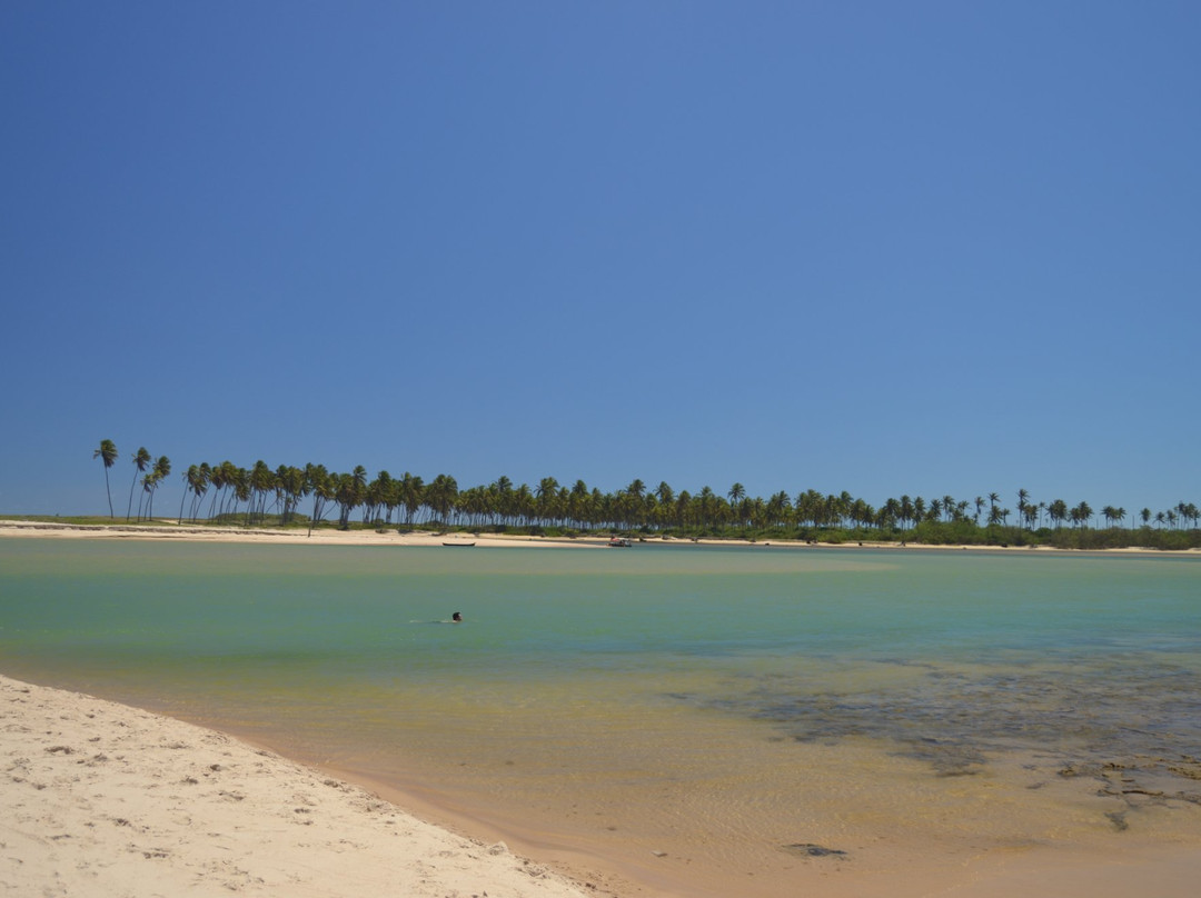 Bahia Vacations Private Tours景点图片