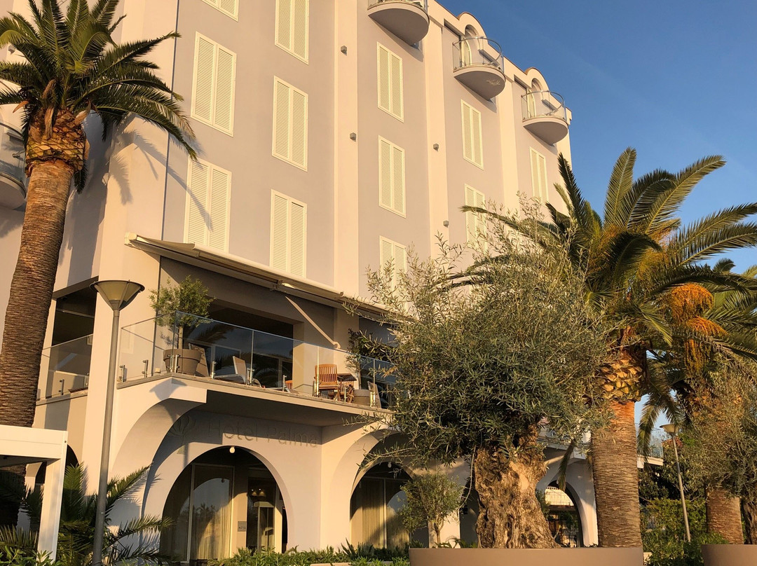 Hotel Palma主图