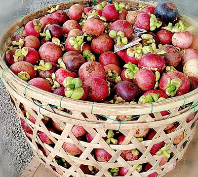 Gobleg Activity-格布勒格必去景点