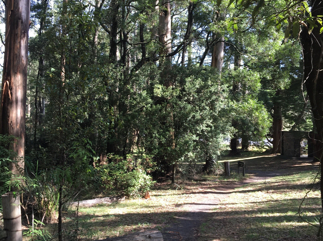 Ferny Creek-Sassafras必去景点