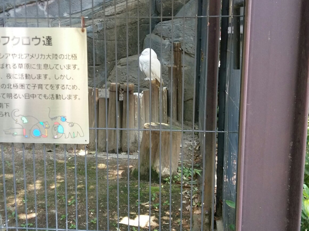 上野动物园景点图片