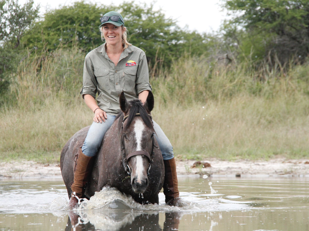 Hwange Horseback Safaris景点图片