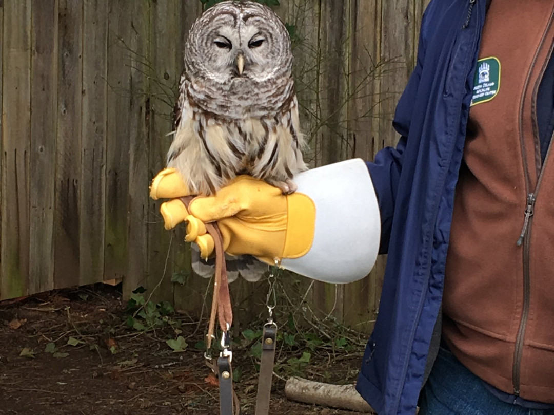 North Island Wildlife Recovery Centre景点图片