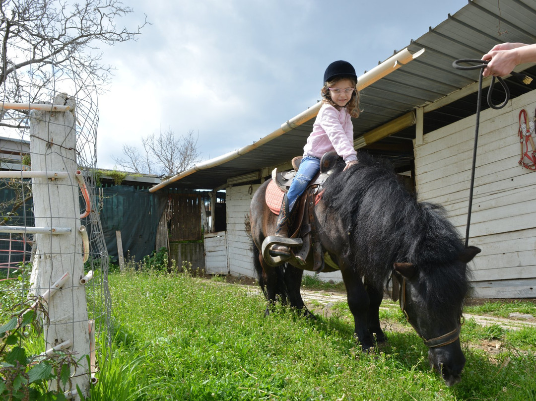 Maneggio La Marca Ranch-Somma Vesuviana必去景点