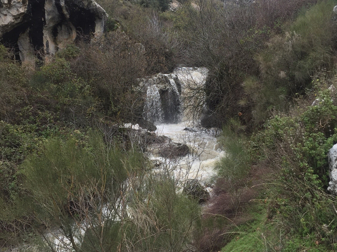 Parque Natural  Sierras Subbeticas景点图片