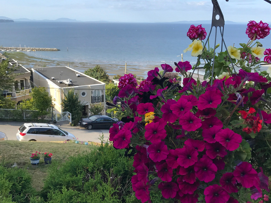 唐娜住宿加早餐旅馆主图