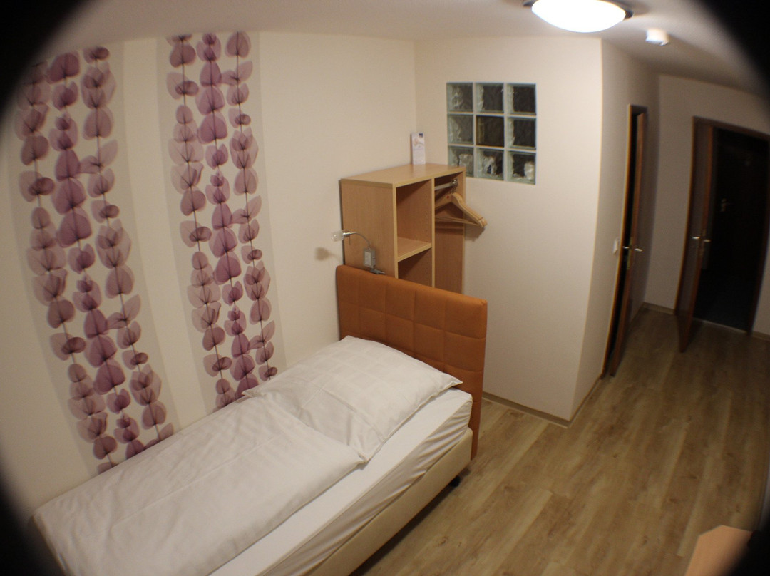 Landhotel Zur Sonne主图