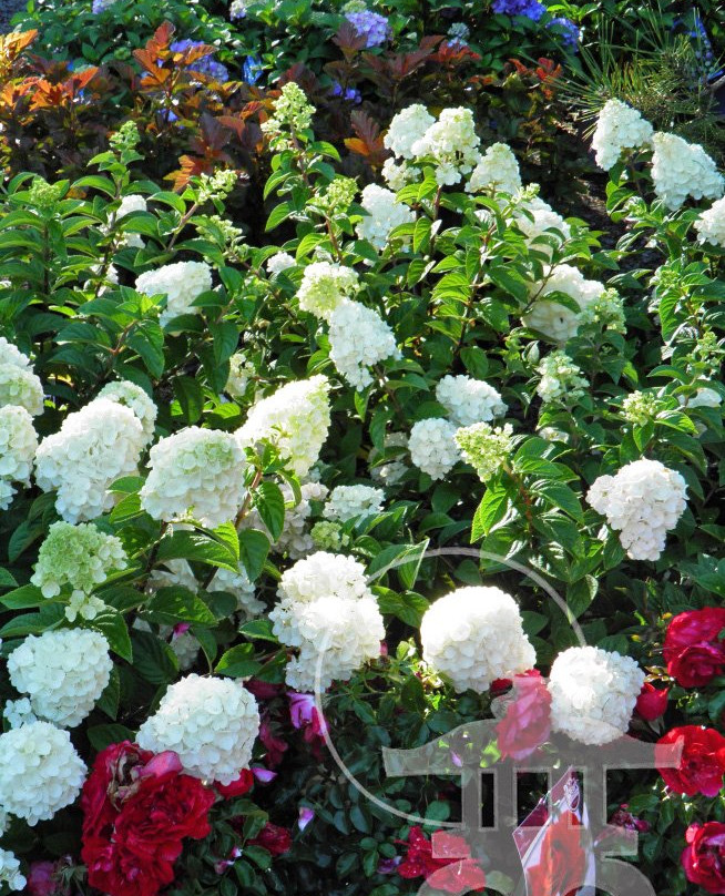 Lael's Moon Garden Nursery-Rochester必去景点