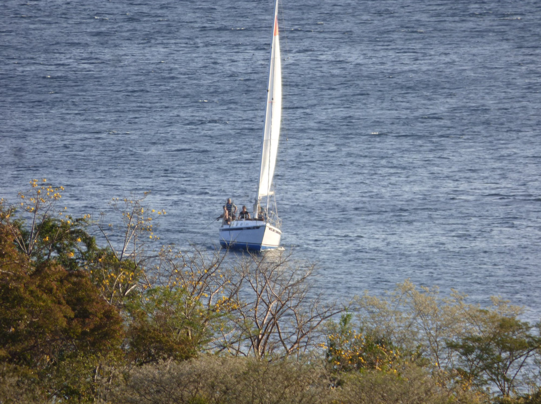 Noa Noa Surfari Sailing景点图片